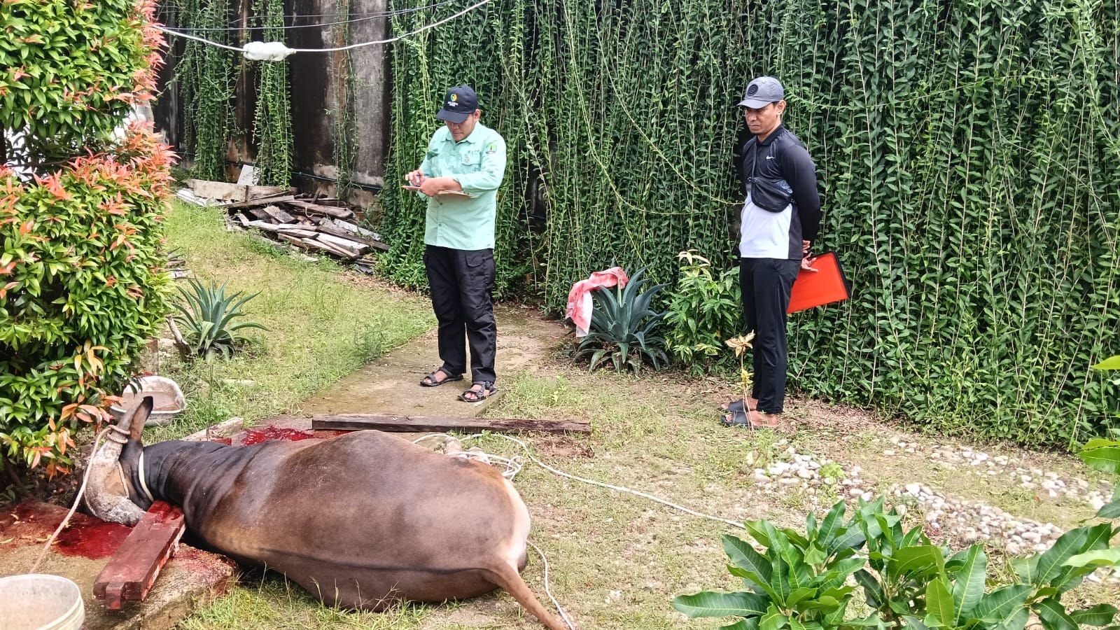 BERITA GAMBAR SIMPATIK